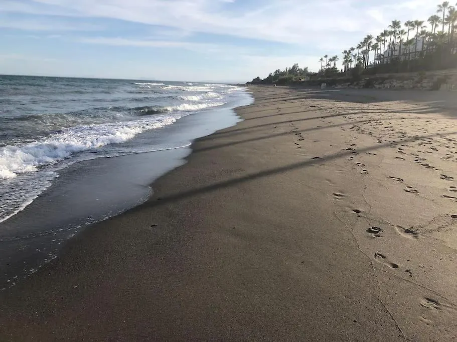 Gorgeous Beachfront Property With Stunning Sea Views & Garden Estepona Daire